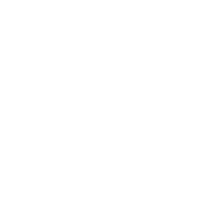 Elettronica GF S.r.l. Con Socio Unico